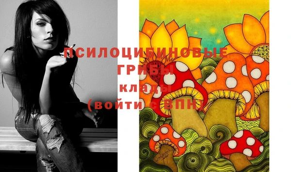 spice Алексин