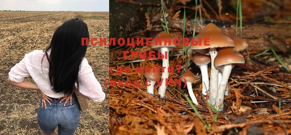 spice Алексин